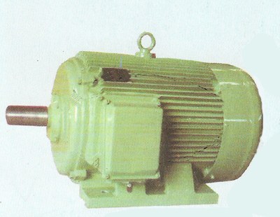 中型低壓三相異步電動機