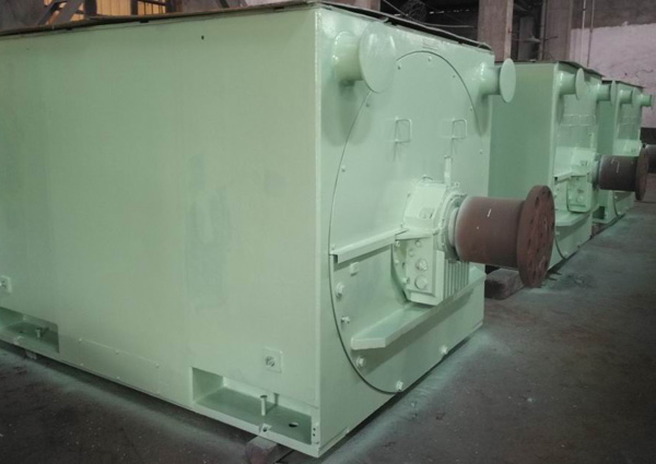 湖北西塞山發電 YKS800-4 5500KW 6KV 三臺電機漏油改造